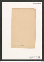 Pleurosigma angulatum var. elongatum (W.Sm.) V.H. (de-Toni-Nr.: Genus 13, Species 1001) Zeichnungen Sammlung Grunow (NHMW-BOT-W0368852)